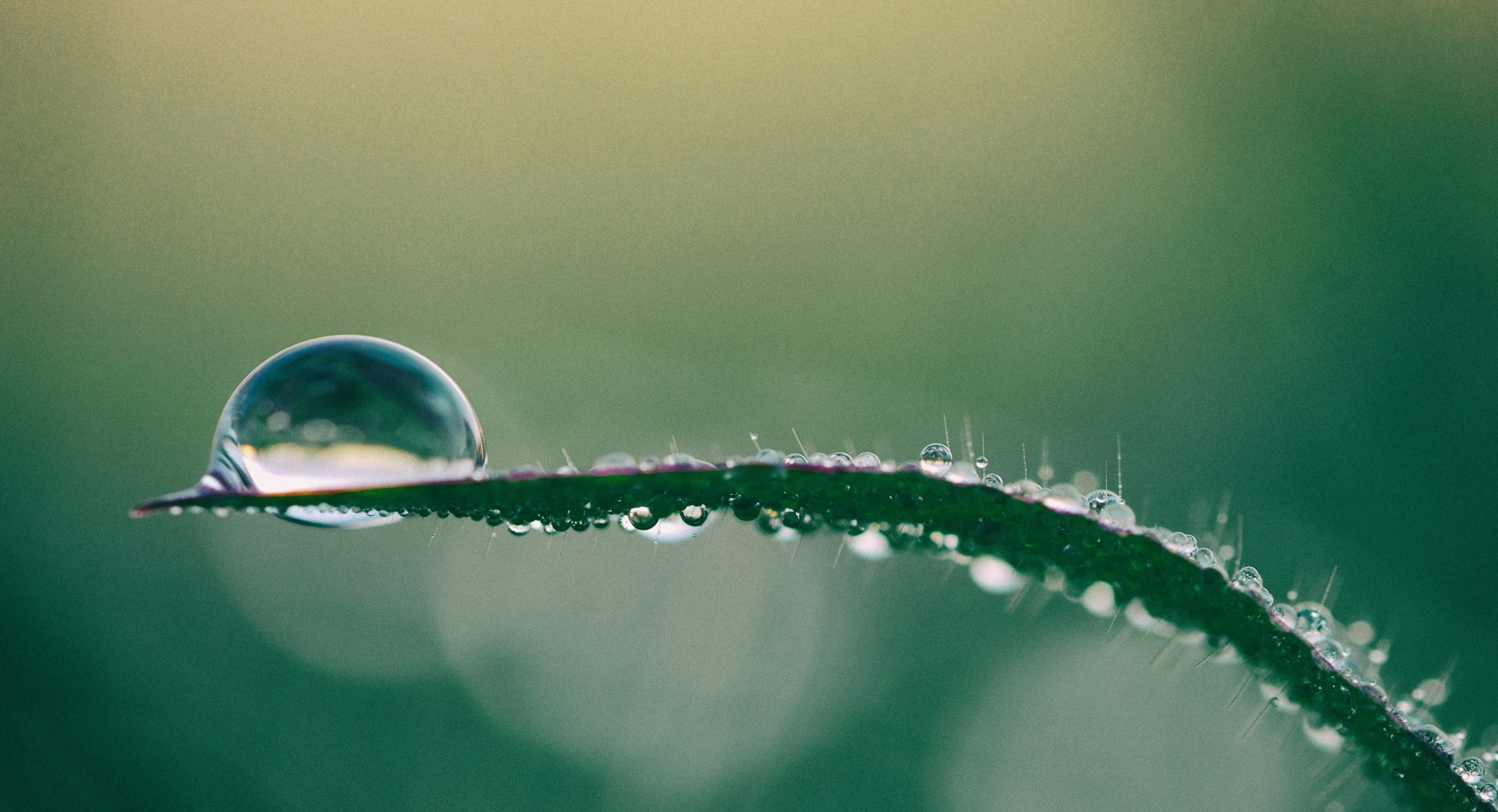 Foto de Aaron Burden en Unsplash